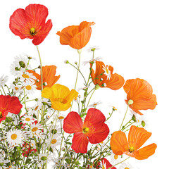 Small bouquet of wildflowers in a vase with poppy isolated on white background