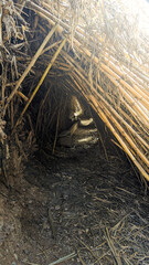 Nature's Maze: Exploring the Overgrown Trails of Calanda, Teruel, Aragon
