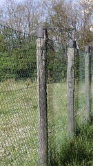 Recinto in rete di ferro verde Sostegno palo in legno Vista laterale