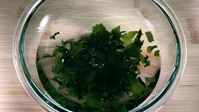 乾燥ワカメ（増えるワカメ）を水で戻すタイムラプス
