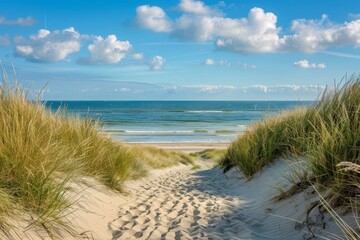 Beach. Path through dunes
