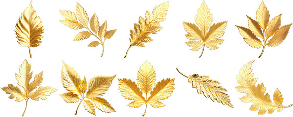 collection of 10 gold leaf ornaments on transparent alpha background. Perfect artist resources for elegant compositions and luxurious designs