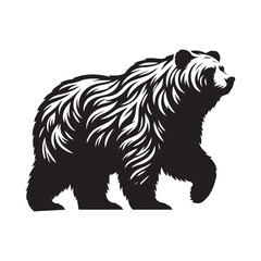 brown bear vector illustration