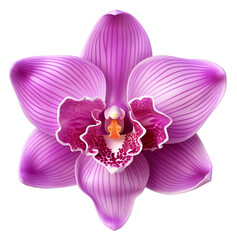 Naklejka na ściany i meble Orchid flower, illustration, purple color, beautiful painting, isolated background