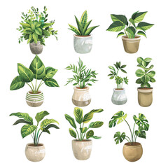 set of plants in pots