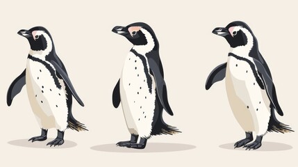 Trio of penguins illustrated in stages of moving, showing the flow of motion and playful interaction between them