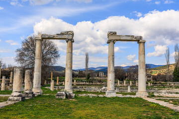 Corinthian Columns of the Afrodisias Agora, Timeless Beauty