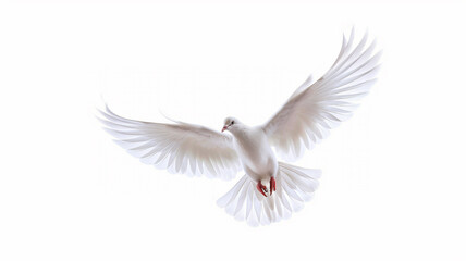 Naklejka premium White dove flying isolated on a white background