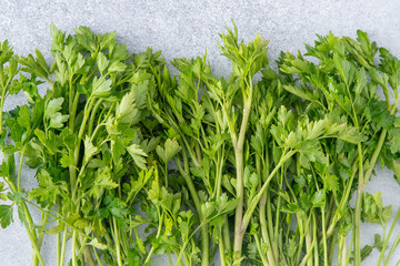 Parsley green leaves. Food herb spice. Fresh parsley leaf.