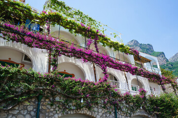 イタリアのリゾート地アマルフィに花がある風景