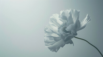 A contemporary artwork showcasing a single, elegant flower against a clean white background.


