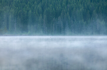Morning foggy lake in the mountain