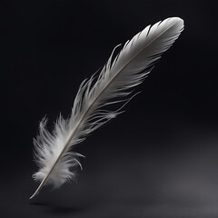 Obraz premium A gleaming feather, cast against a backdrop of darkness, drifts weightlessly through the air