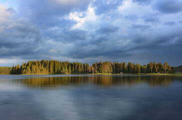 Pine Trees with Blue Water Reflection