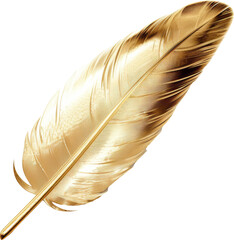 golden feather isolated on white or transparent background,transparency 
