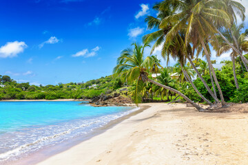The beautiful beach of Carlisle Bay at the Caribbean islands of Antigua and Barbuda with fine sand and coconut palm trees