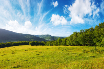 mountainous landscape of ukraine with grassy meadow in spring. carpathian countryside scenery with...