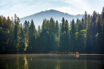 coniferous forest on the shore reflecting in the water. alpine landscape with glacier lake of...