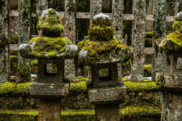 The moss-covered atmospheric Okunoin Cemetery, Mount Koya (Koyasan), Wakayama, Japan