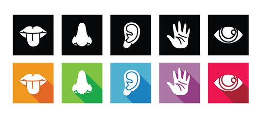 Five senses icon set, collection of human senses vector image, flat design illustration, long shadow icon
