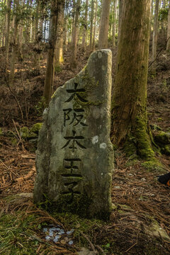 Forest jizo stone statue on the Kumano Kodo Nakahechi pilgrimage route, Nachisan, Wakayama, Japan