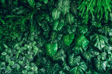 Fototapeta premium Close-up of a group of green leaves, providing a textured and abstract nature background. Rich foliage textures, exotic greenery, and botanical patterns..