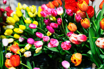 Multicolored, red, yellow, white, lilac tulips on display for sale