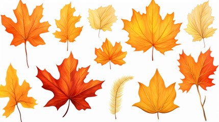 Autumn leaves assortment paired with a gentle feather, contrasting the botanical with the delicate
