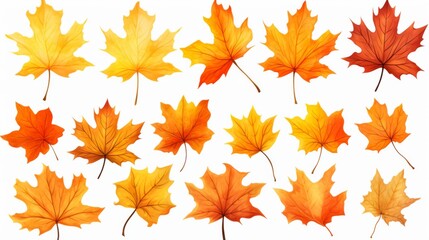 Fototapeta premium A collection of colorful maple leaves in various autumnal hues neatly arranged against a white backdrop, showcasing the beauty of fall