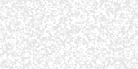 Fototapeta premium Vector geometric seamless technology gray and white triangle background. Abstract digital grid light pattern white Polygon Mosaic triangle Background, business and corporate background.