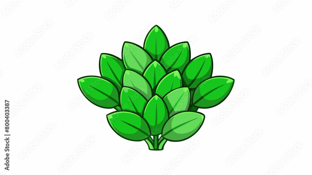 Poster a bunch of small arrowshaped leaves with a vibrant green color and a delicate texture. on white back