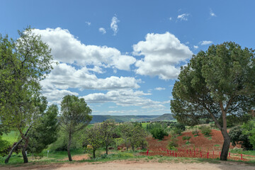 Obraz premium A beautiful landscape with trees, crop fields and some valleys