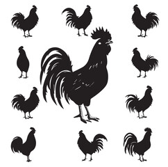 set of rooster
