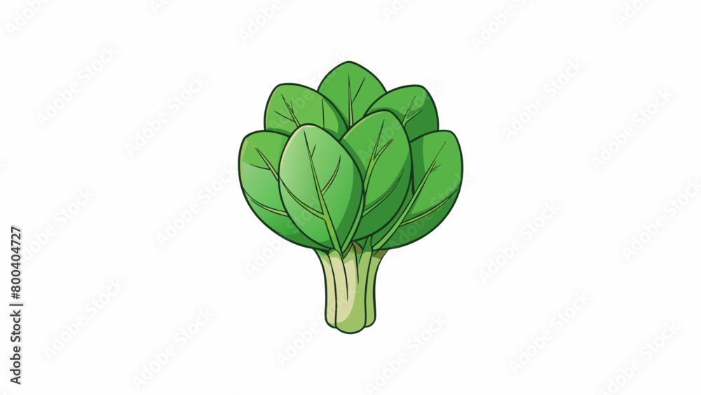 Poster a leafy vegetable with smooth slender stems and delicate ovalshaped leaves that wilt easily when coo