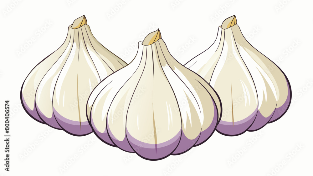 Poster a translucent white sheath enveloping a of plump ivorycolored cloves each with a faint purple tinge 