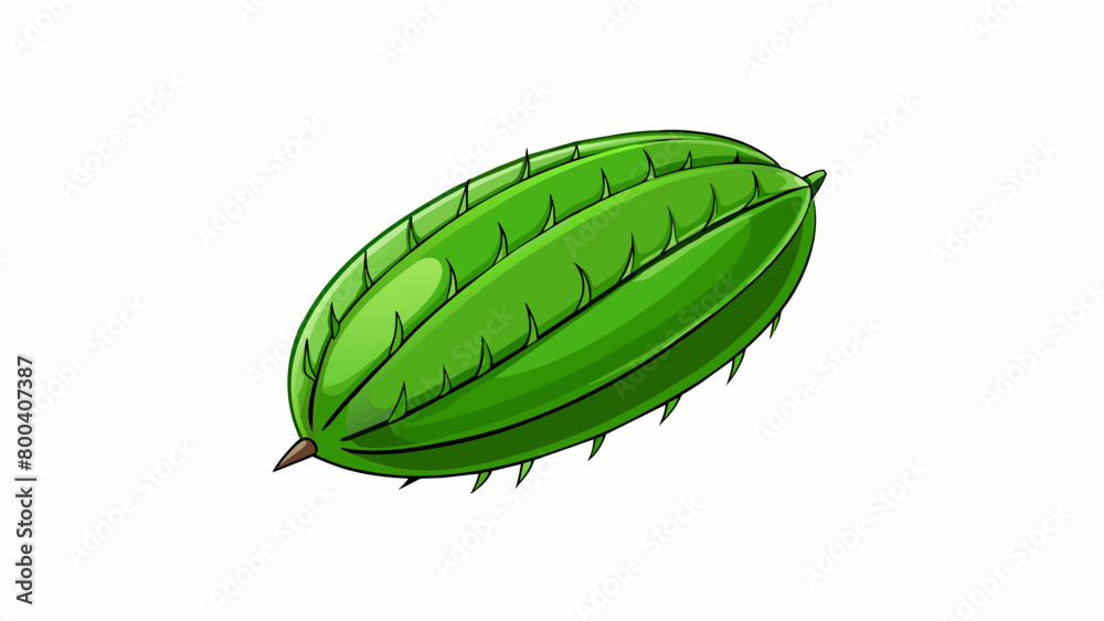 Leinwandbilder flat thin seeds with a glossy deep green skin and a small pointed tip like tiny flying saucers. on w