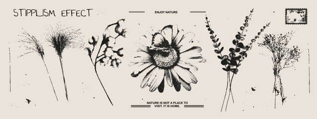 Different branches, chamomile, butterfly photocopy effect elements set with grunge stippling grain messy texture. Trendy y2k aesthetic vector illustration. Ideal for poster design, t shirt