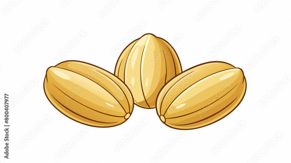 Poster Subtle sesame seedlike seeds that are beige in color and have a smooth shiny surface. They are slightly larger than sesame seeds and have a mild. Cartoon Vector.