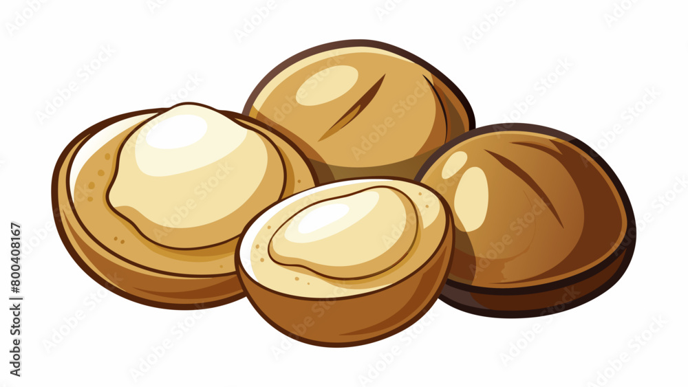 Aufkleber The Macadamia nuts are small and round resembling marbles with a thin smooth shell that can be easily peeled off to reveal a light ivorycolored nut. Cartoon Vector.