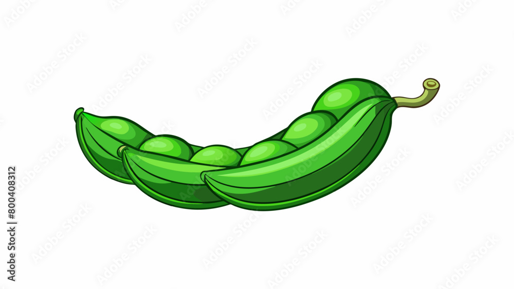 Poster the slim slightly curved shape of green beans give the vegetable a bowlike appearance with a deep gr