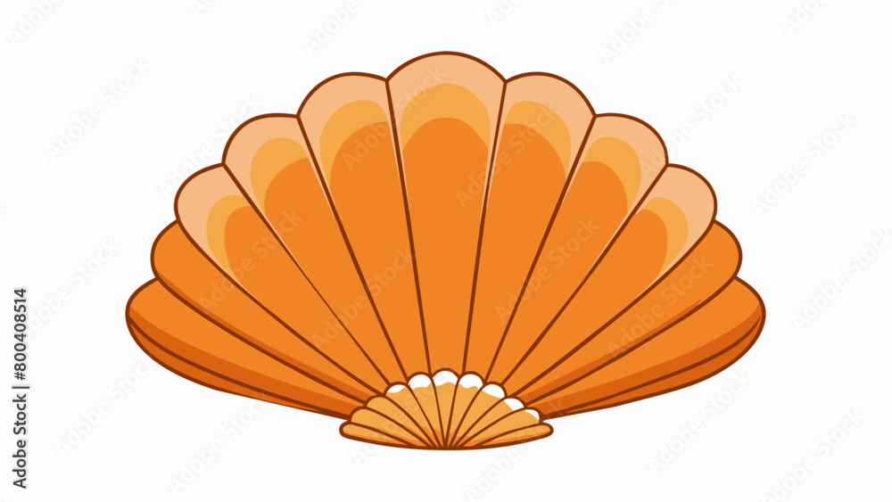Poster this scallop has a fanlike shape fanning outwards from a central point. its shell is ribbed and ligh
