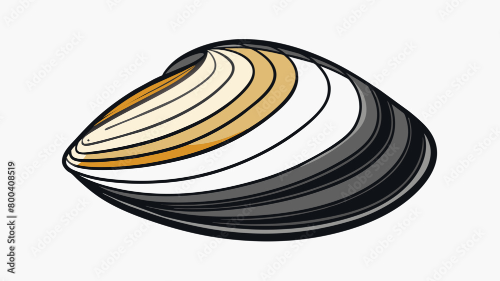 Poster this mussel is easily identified by its large round shape and distinctive black and white stripes. i