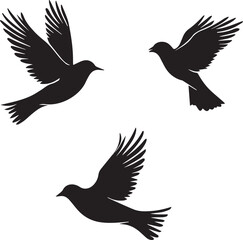 set of birds