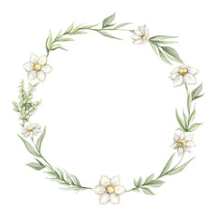 Round oval composition frame with green twigs, daisies flowers and leaves vegetation composition isolated on white background. Watercolor hand drawn illustration sketch