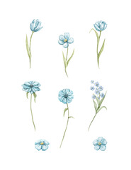 Naklejka premium Set with vintage various blue flowers and leaves set isolated on white background. Watercolor hand drawn illustration sketch