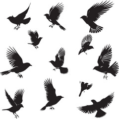 set of silhouettes of birds