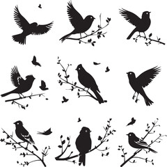 set of birds
