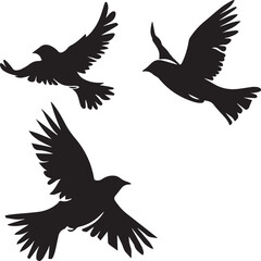 silhouettes of birds