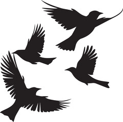silhouettes of birds
