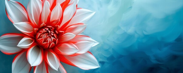 Red and white flower on a blue abstract background